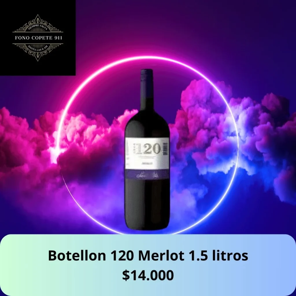 Botella de vino tinto Gran 120 Merlot Santa Rita 1500cc delivery Santiago